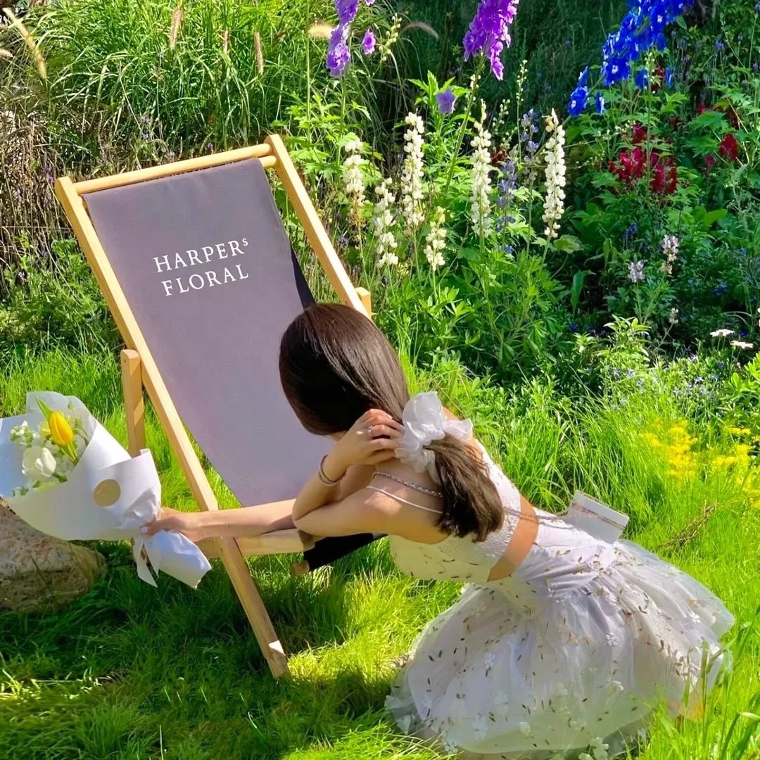 魔法满屋：好莱坞露天剧场演唱会